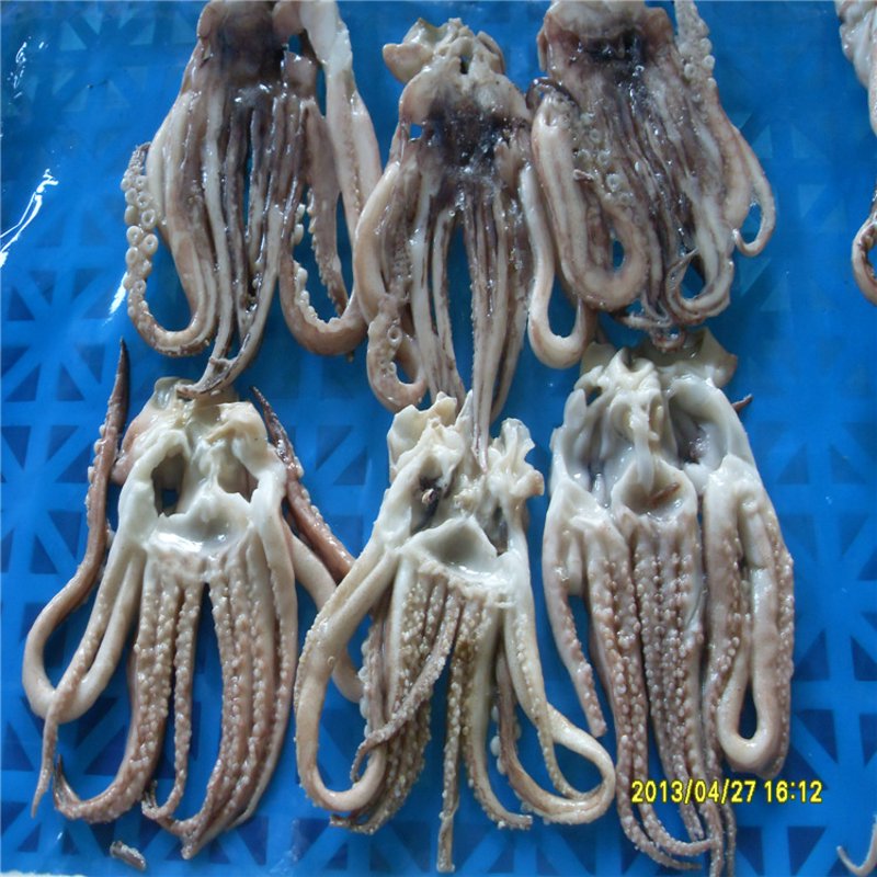 了解海参功效与作用，避开不适合食用的人群