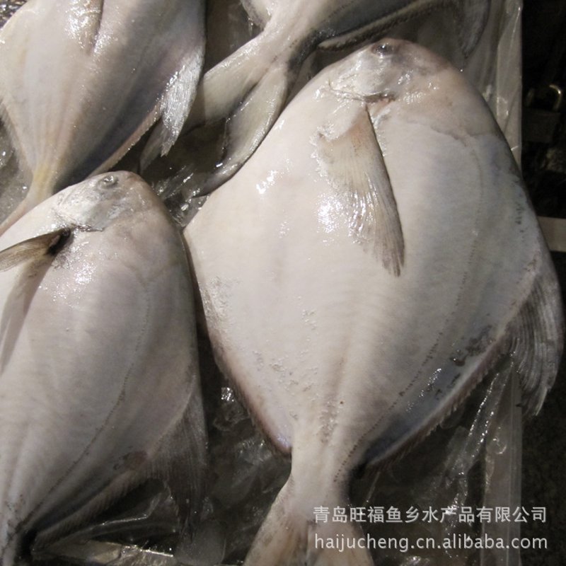 海参功效与作用及其适用人群
