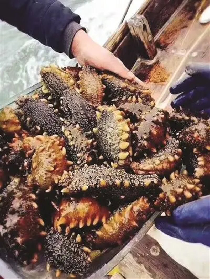 干货满满，如何选到优质干货？