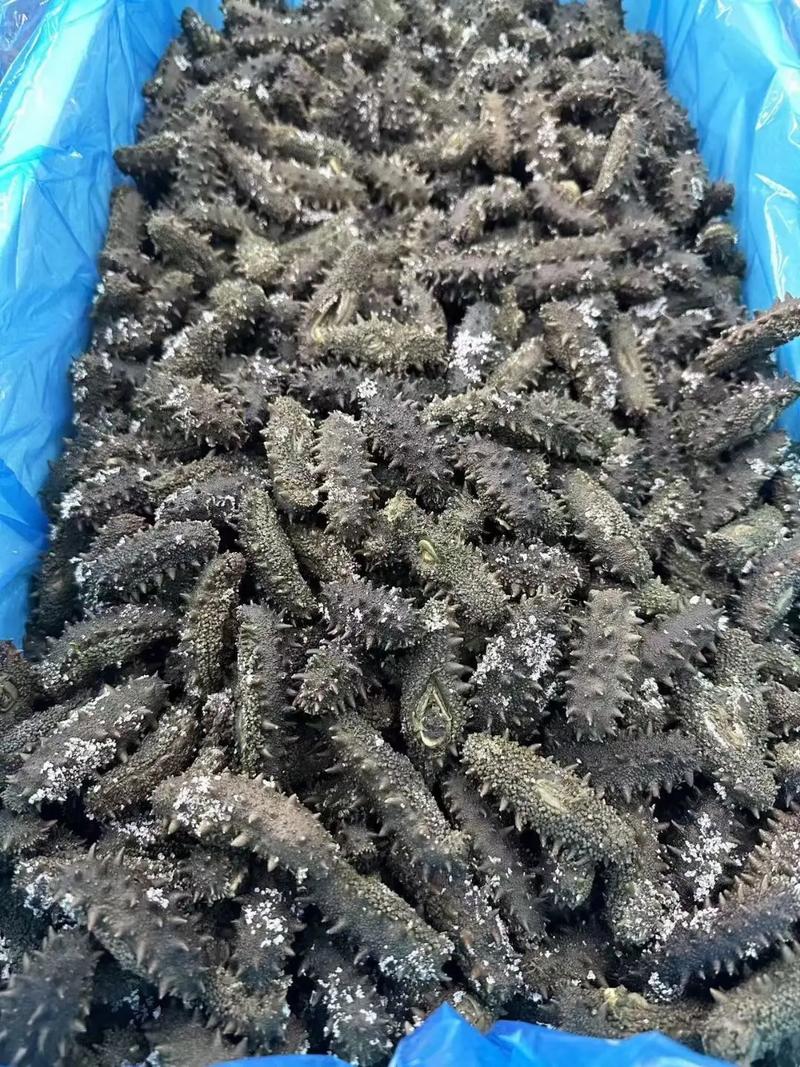 干货满满，让生活更精彩